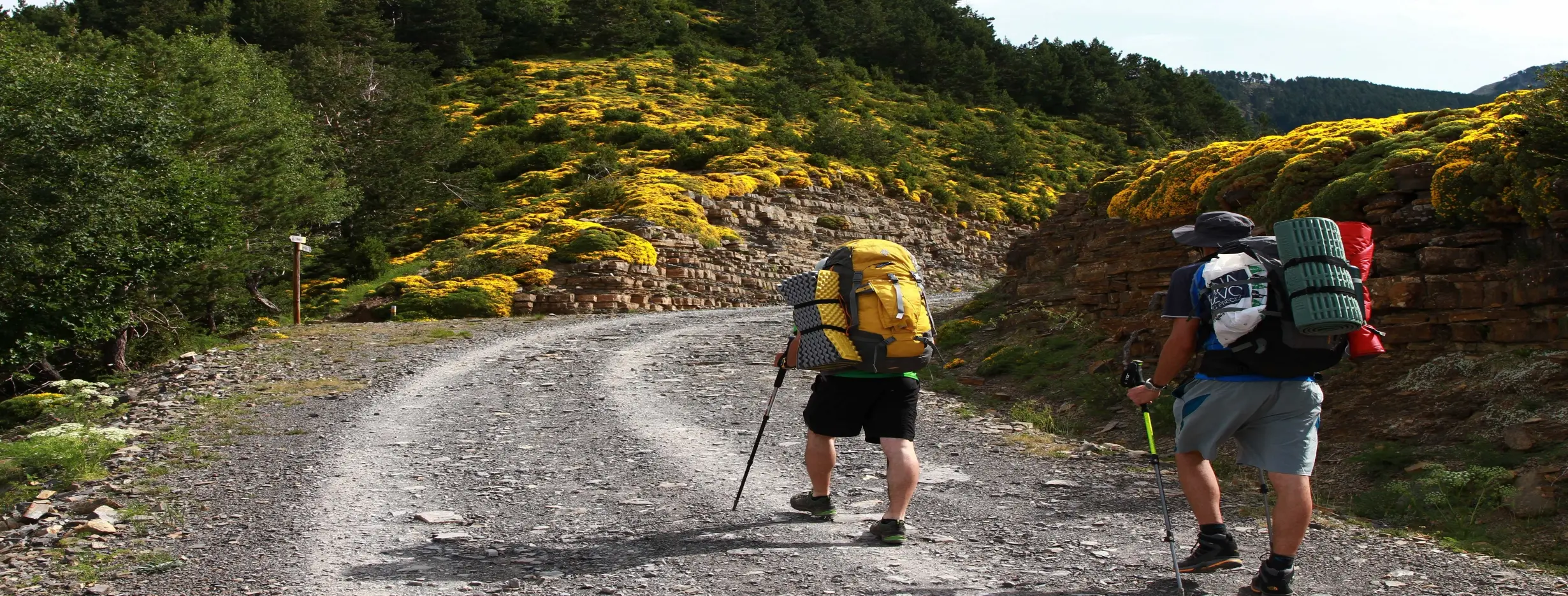Image for Coloane Hike